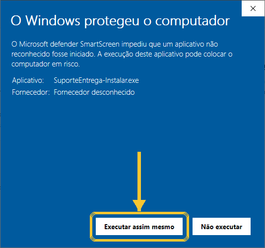 Tela azul do Windows com o botão Executar assim mesmo marcado